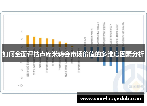 如何全面评估卢库米转会市场价值的多维度因素分析