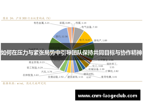 如何在压力与紧张局势中引导团队保持共同目标与协作精神
