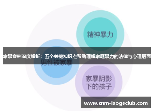 家暴案例深度解析：五个关键知识点帮助理解家庭暴力的法律与心理层面