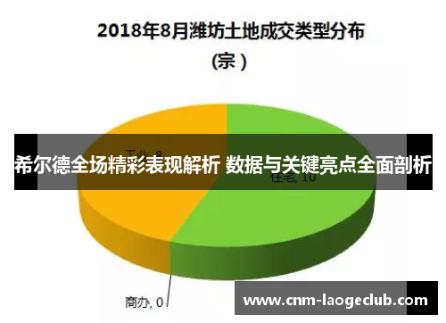 希尔德全场精彩表现解析 数据与关键亮点全面剖析
