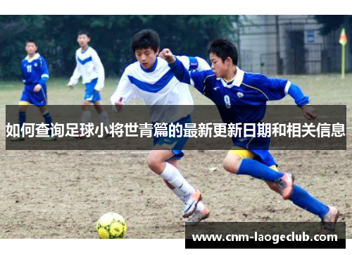如何查询足球小将世青篇的最新更新日期和相关信息