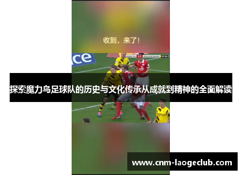 探索魔力鸟足球队的历史与文化传承从成就到精神的全面解读