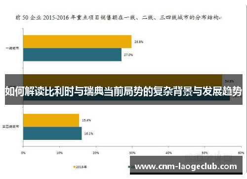 如何解读比利时与瑞典当前局势的复杂背景与发展趋势