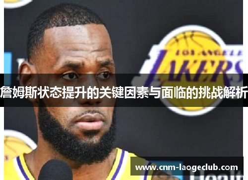 詹姆斯状态提升的关键因素与面临的挑战解析