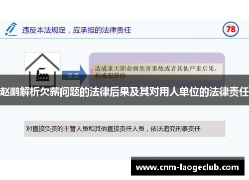 赵鹏解析欠薪问题的法律后果及其对用人单位的法律责任