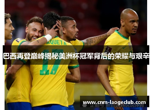 巴西再登巅峰揭秘美洲杯冠军背后的荣耀与艰辛