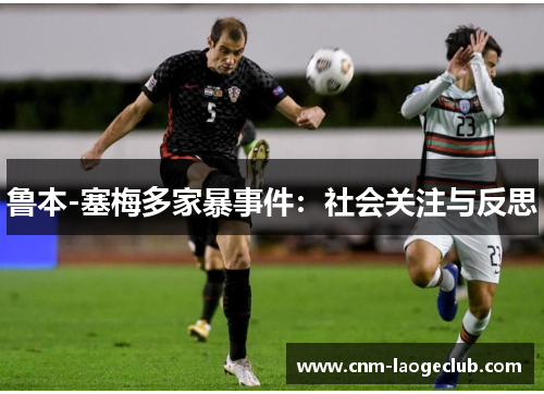 鲁本-塞梅多家暴事件：社会关注与反思